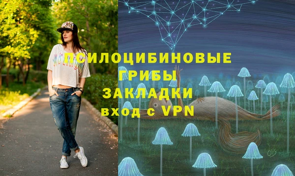 синтетический гашиш Заволжск