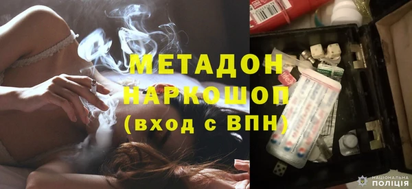 прущие грибы Заволжье