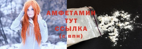прущие грибы Заволжье