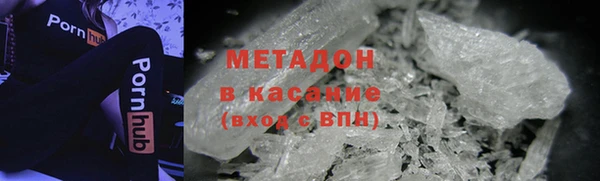 прущие грибы Заволжье