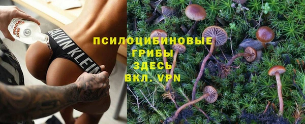 МДМА Заводоуковск