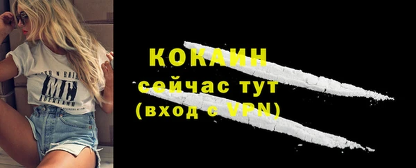 прущие грибы Заволжье