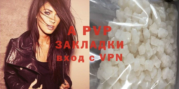 прущие грибы Заволжье