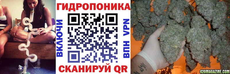 Бошки марихуана гибрид  Купить закладки  Хадыженск 